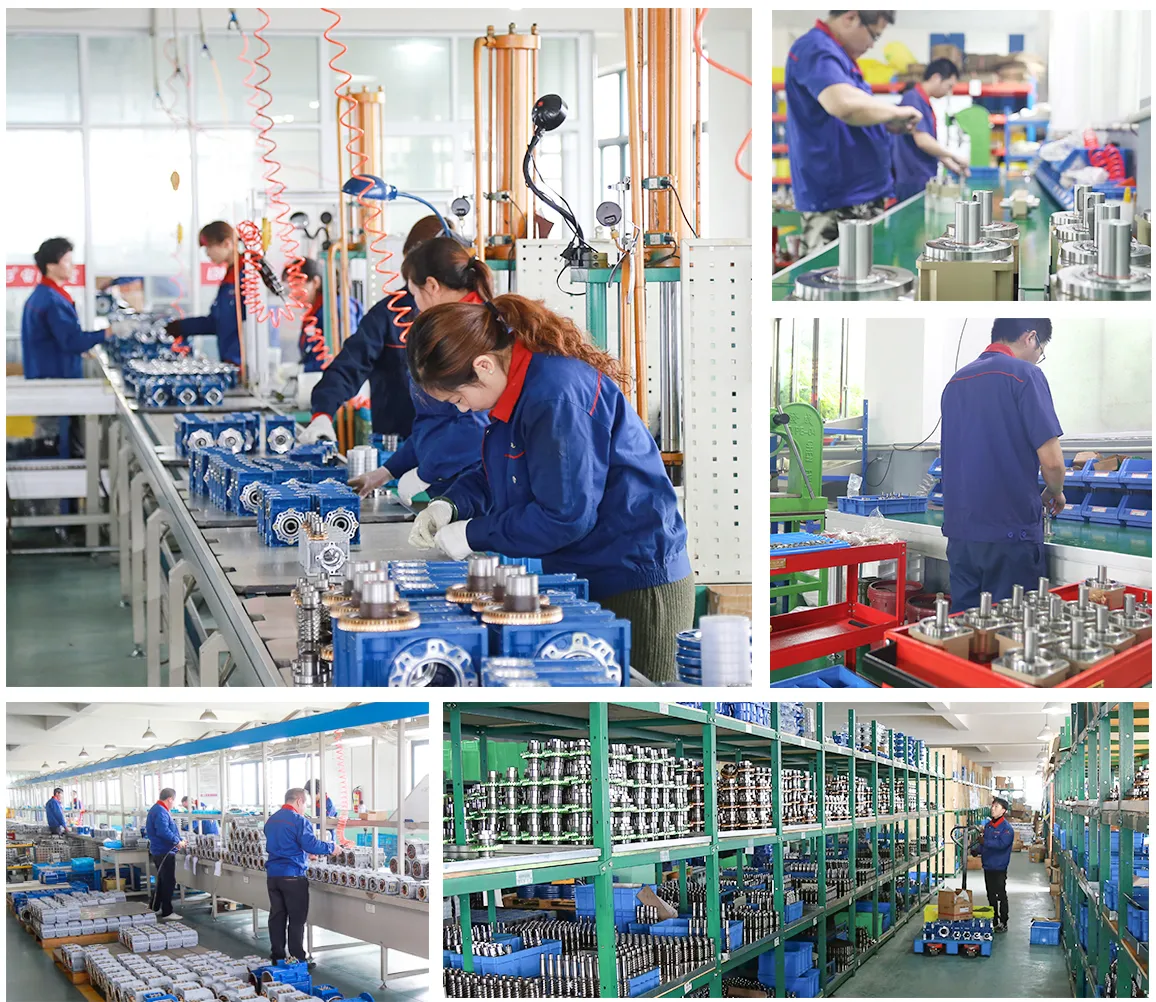 Ever-Power worm gearbox manufacturing facility